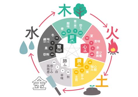 五行風水|五行とは～風水・四柱推命・中医学の基本「五行」